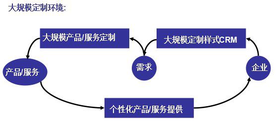 CRM大规模定制环境