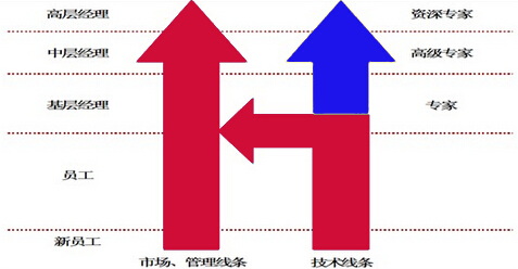 超市人力资源管理之人才战略