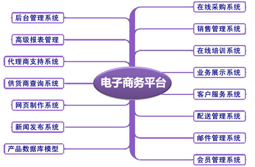 电子商务平台技术程序开发的系统