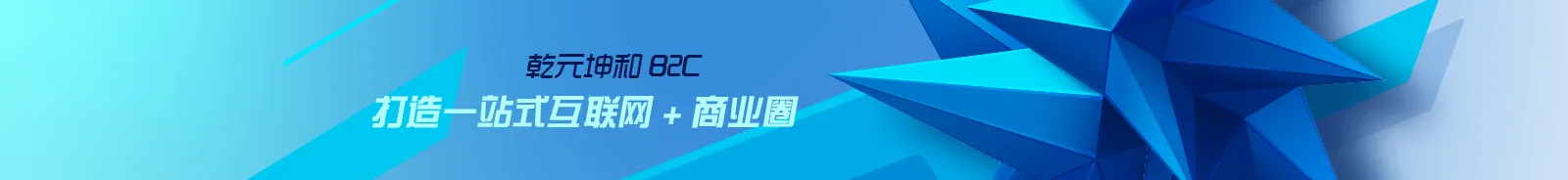 B2C网站综合介绍