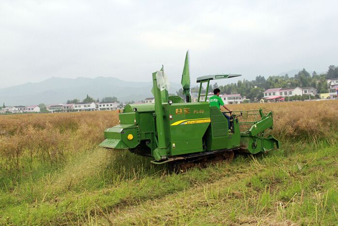 湖南武冈油菜生产迈入全程机械化时代